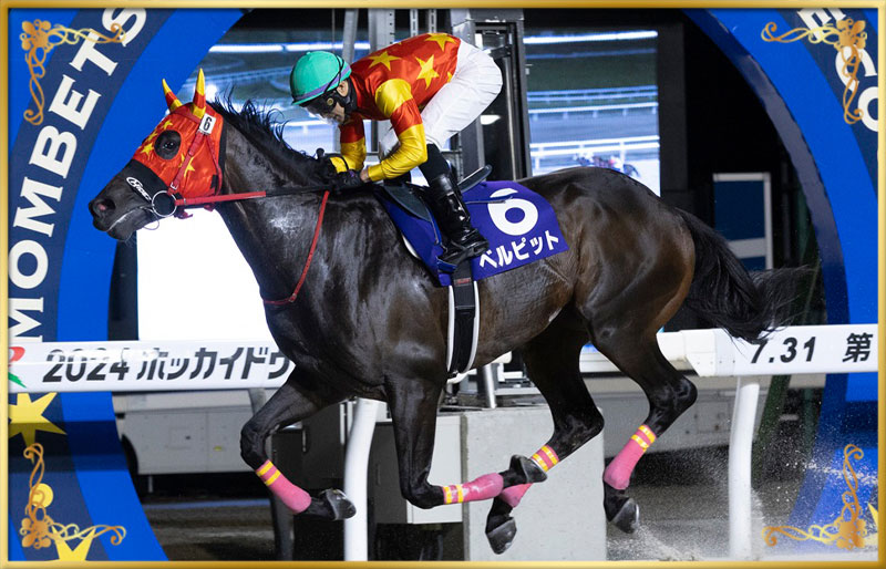 2024年優勝馬 ベルピット号
