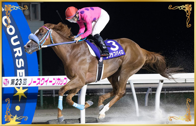2024年優勝馬 ラブラブパイロ号