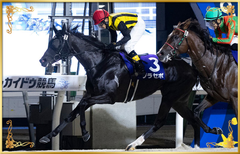2024年優勝馬 プラセボ号