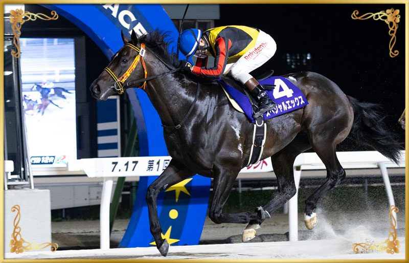 2024年優勝馬 スペシャルエックス号