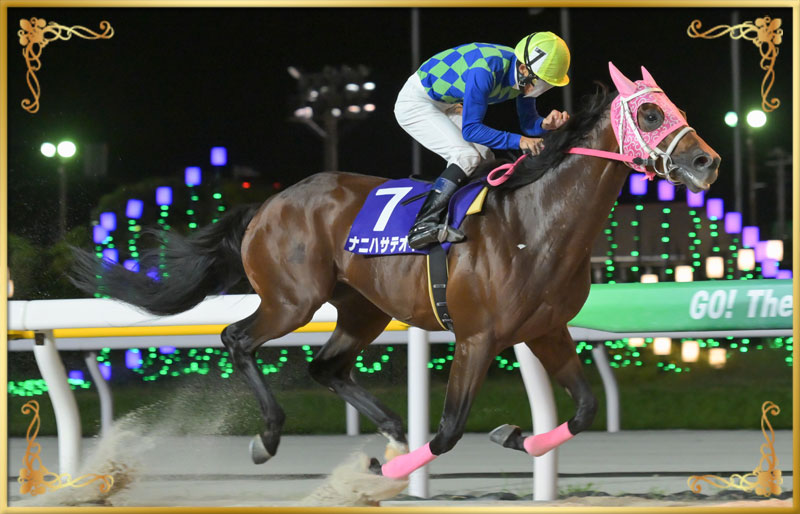2024年優勝馬 ナニハサテオキ号