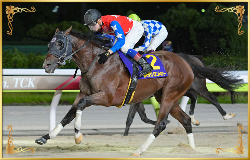 2024年優勝馬 デュードヴァン号