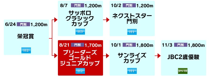 体系図　～ホッカイドウ競馬2歳～