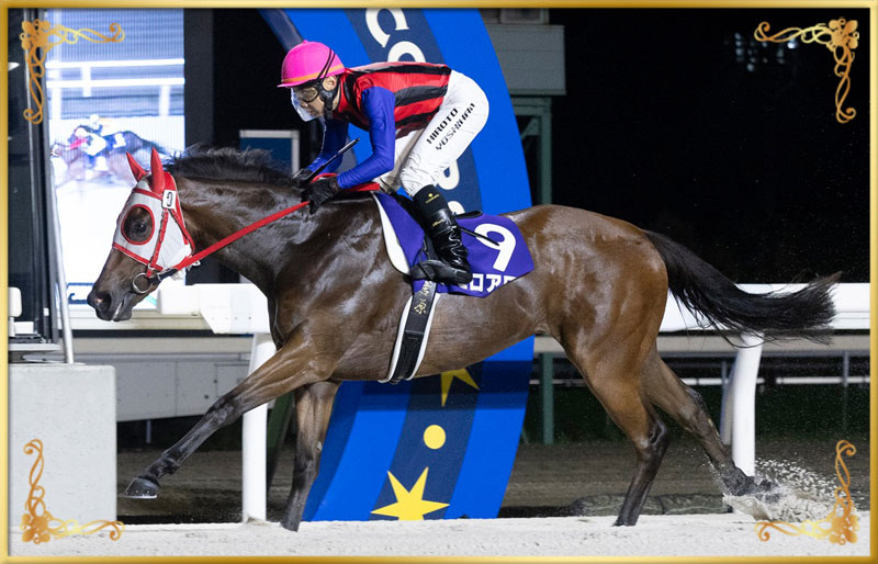 2024年優勝馬　ゼロアワー号