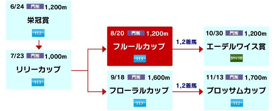 体系図　～ホッカイドウ競馬2歳牝馬～
