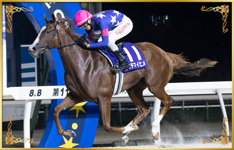 2024年優勝馬 イイデマイヒメ号