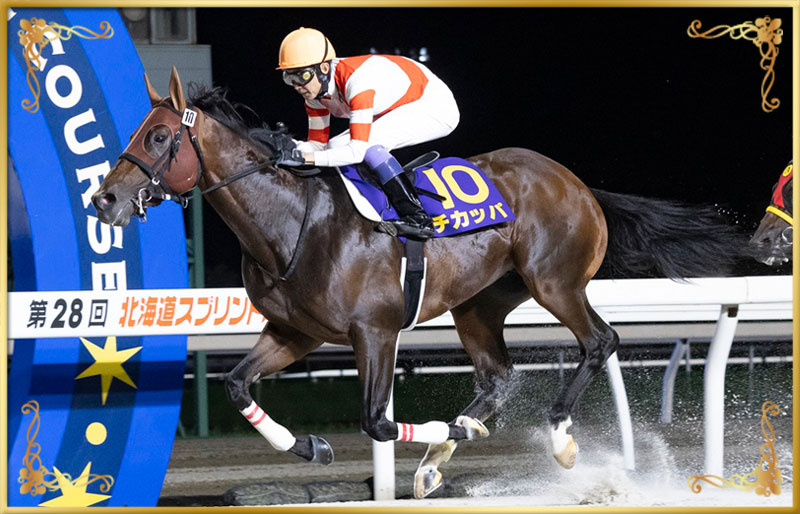 2024年優勝馬　チカッパ号