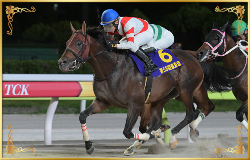 2024年優勝馬 チカッパ号