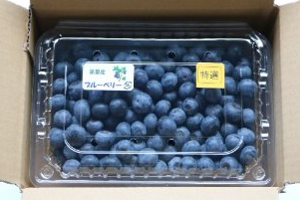美里町産ブルーベリー(生果/1kg)