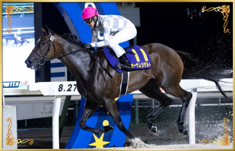 2024年優勝馬　オーサムリザルト号