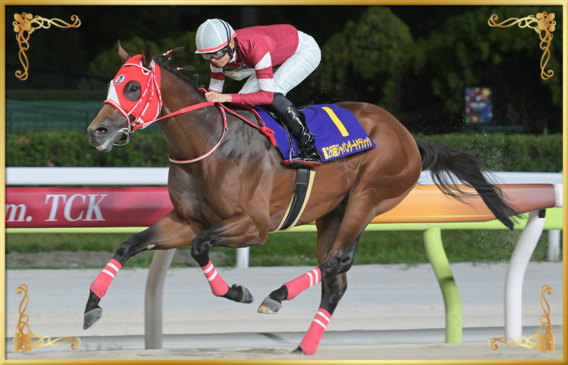 2024年優勝馬　フォーエバーヤング号