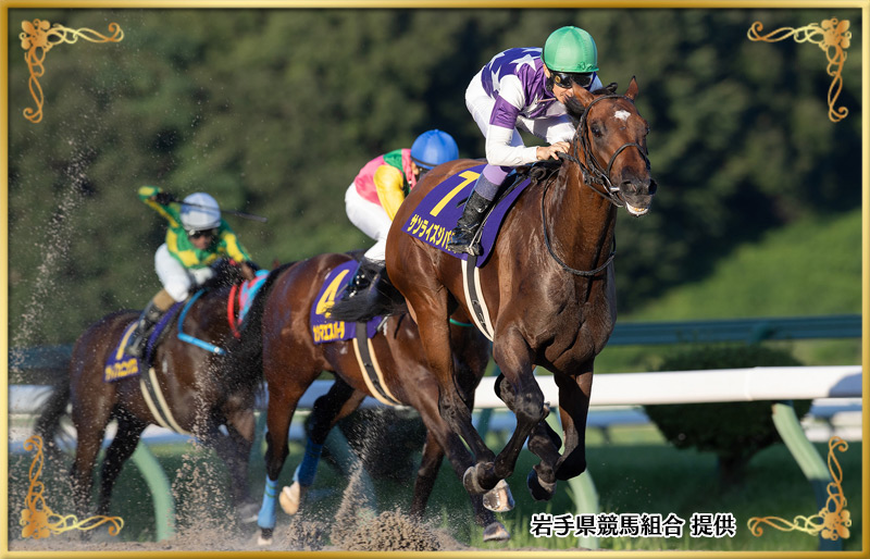 2024年優勝馬　サンライズジパング号