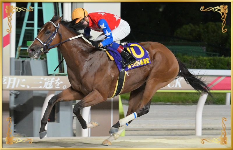 2024年優勝馬 ダテノショウグン号