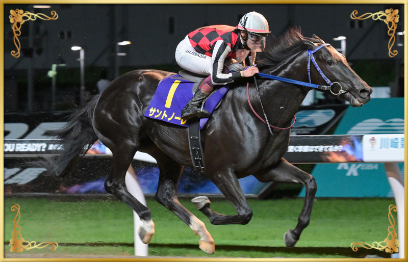 2024年優勝馬 サントノーレ号