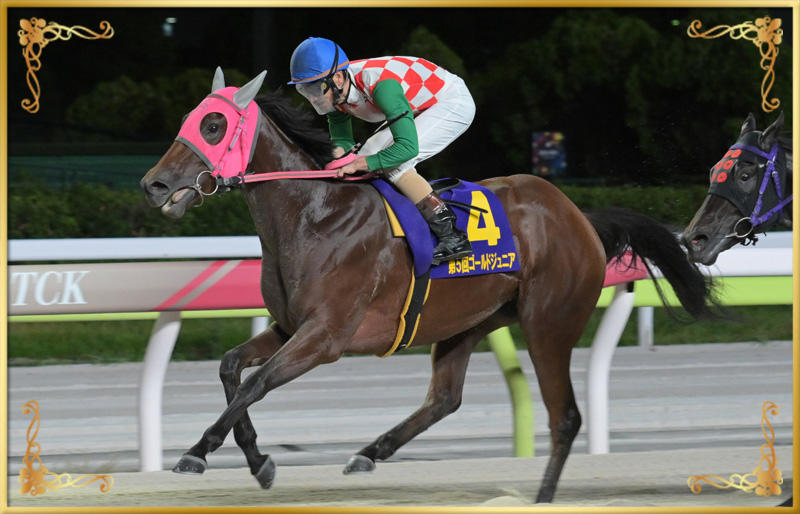 2024年優勝馬 ランベリー号