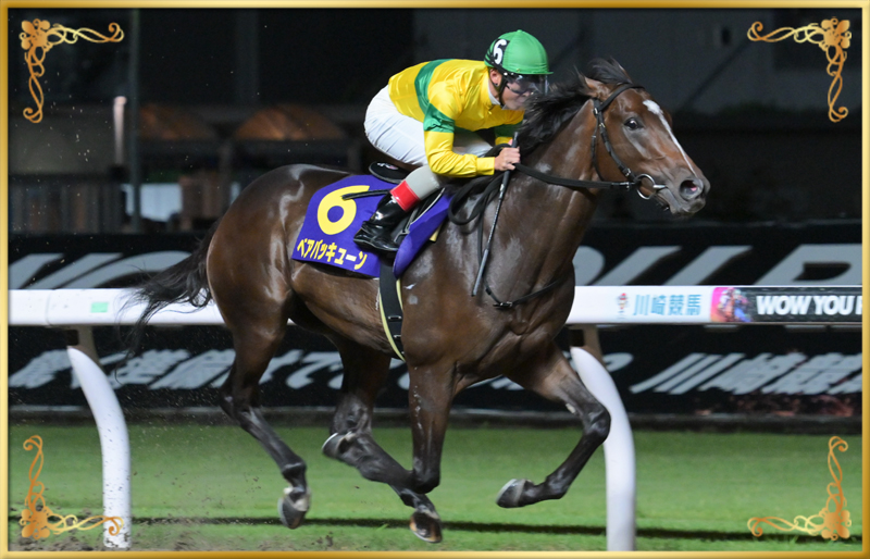 2024年優勝馬　ベアバッキューン号
