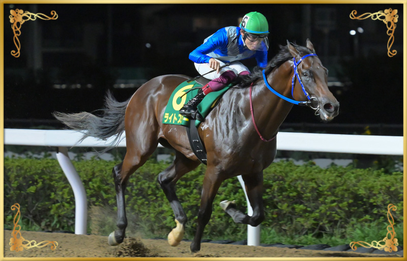 2024年優勝馬 ライトスリー号