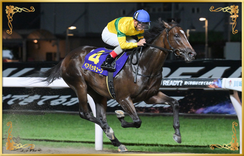 2024年優勝馬　ベアバッキューン号