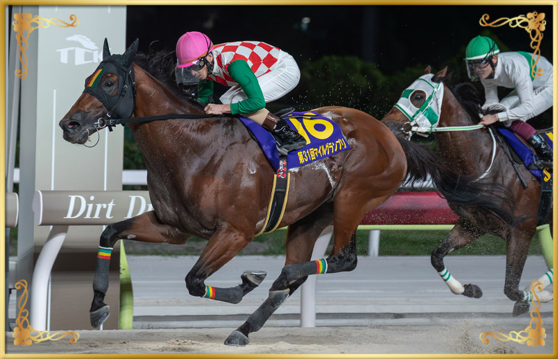 2024年優勝馬　スマイルウィ号