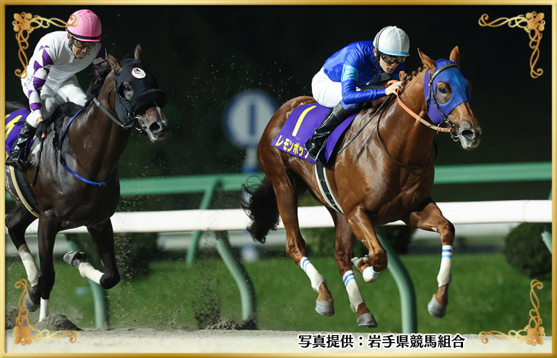 2024年優勝馬　レモンポップ号