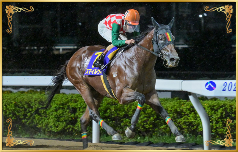 2024年優勝馬 スマイルウィ号