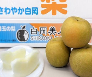 白岡産の梨（5kg）