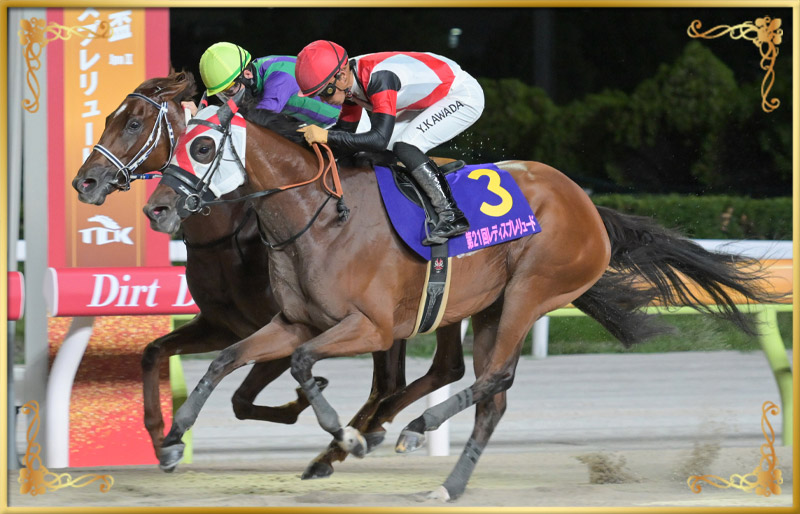 2024年優勝馬 グランブリッジ号(外)