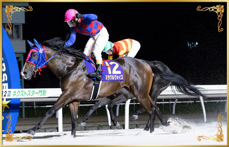 2024年優勝馬　ミラクルヴォイス号