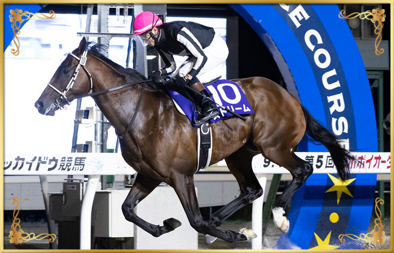 2024年優勝馬 ストリーム号