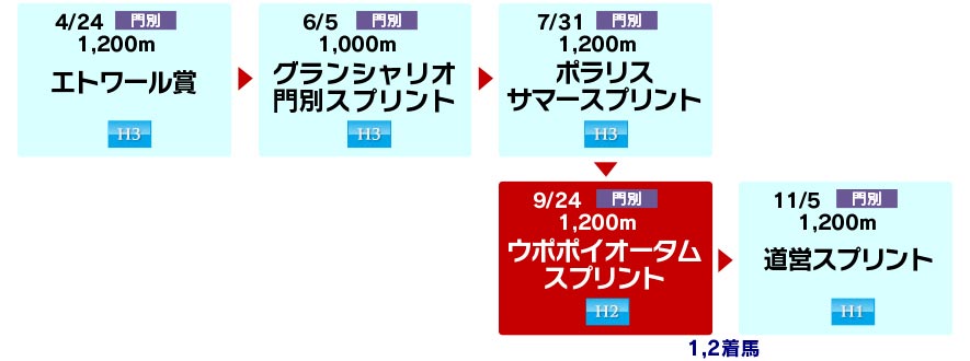 体系図　～ホッカイドウ競馬3歳以上短距離～