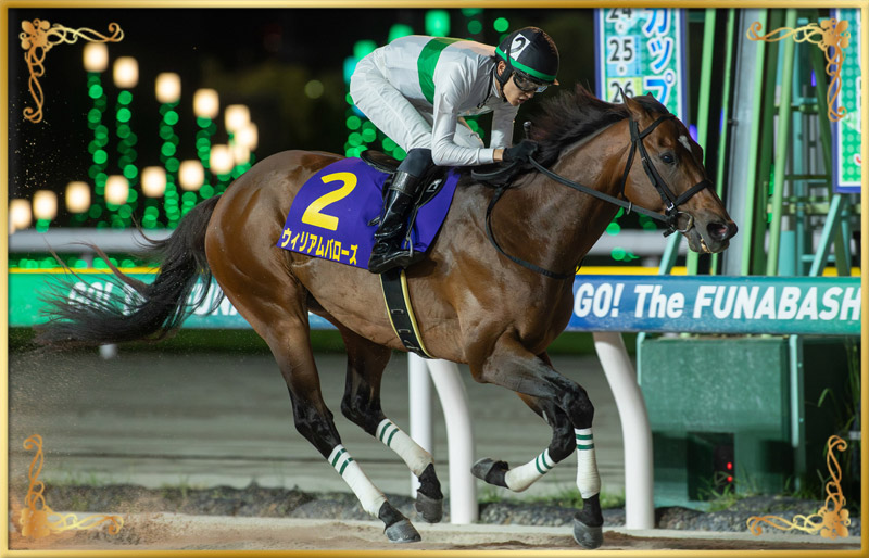 2024年優勝馬　ウィリアムバローズ号
