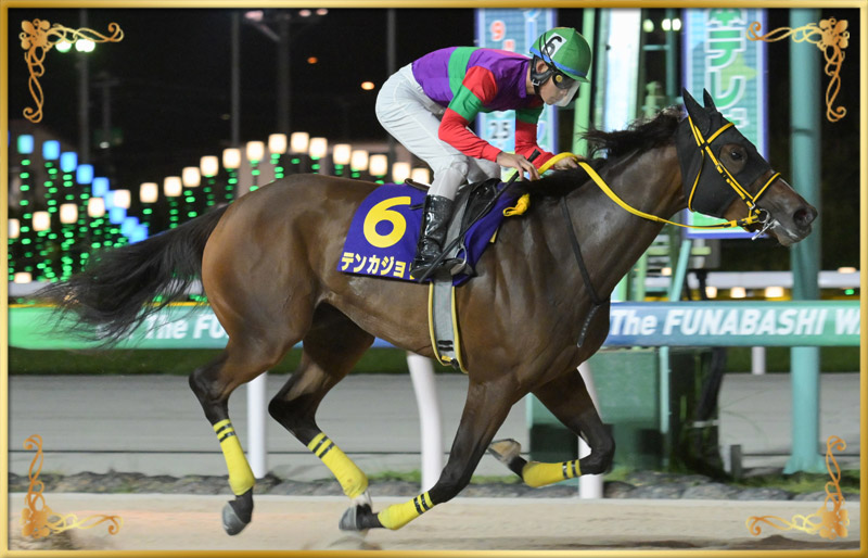 2024年優勝馬　テンカジョウ号