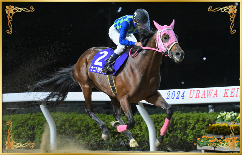 2024年優勝馬　ナニハサテオキ号