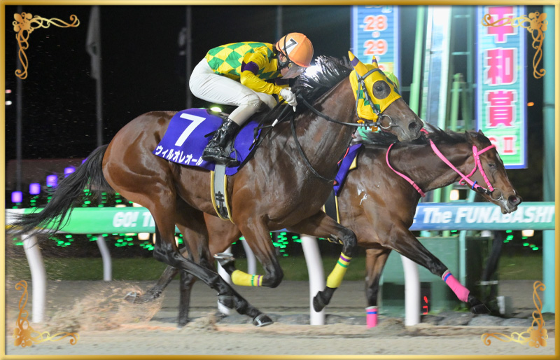2024年優勝馬 ウィルオレオール号(外)