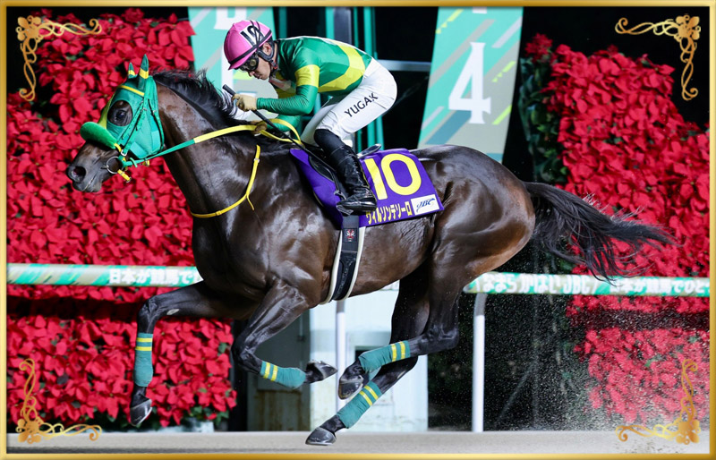 2024年優勝馬 ウィルソンテソーロ号