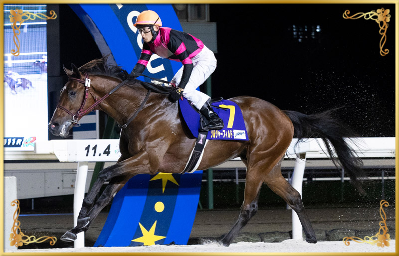 2024年優勝馬　ソルジャーフィルド号