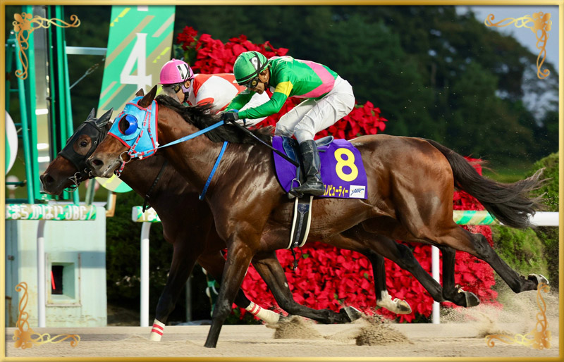 2024年優勝馬 タガノビューティー号(外)