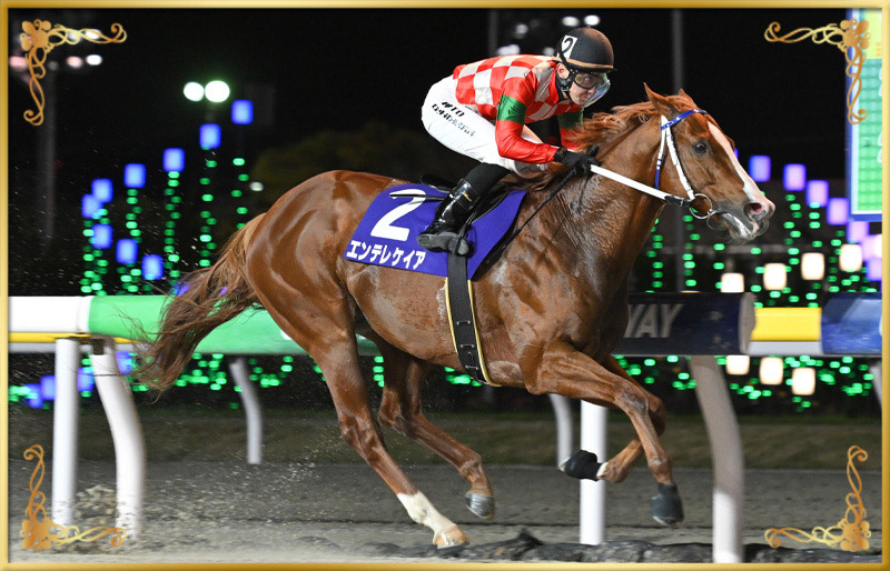 2024年優勝馬　エンテレケイア号