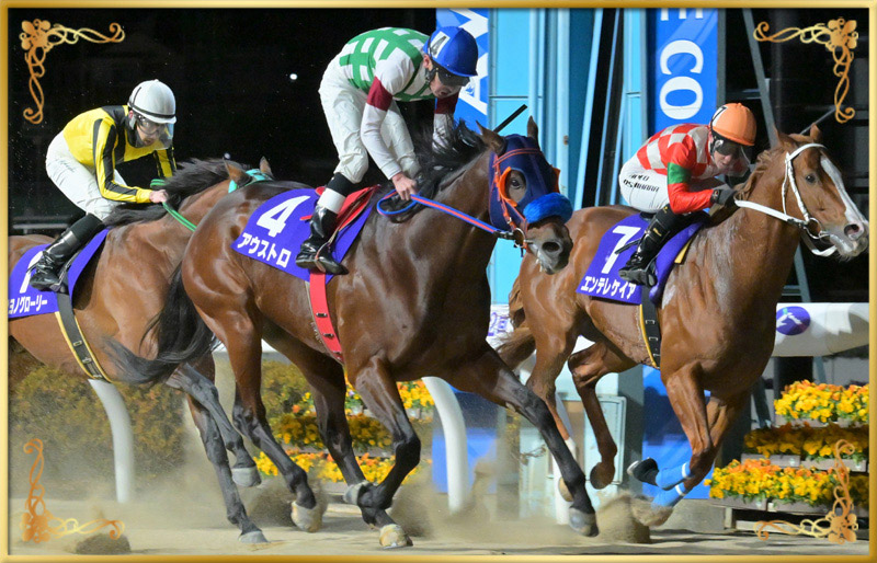 2024年優勝馬 アウストロ号