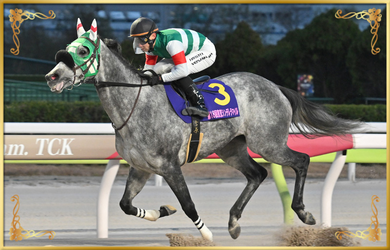 2024年優勝馬 フェブランシェ号