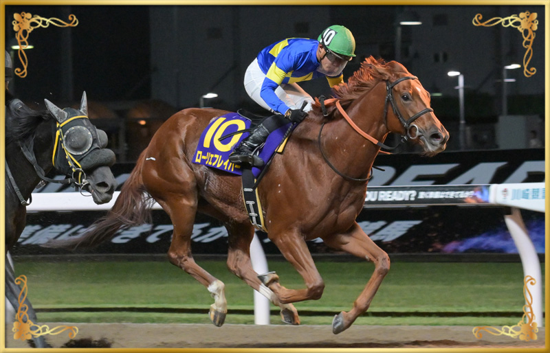 2024年優勝馬　ローリエフレイバー号