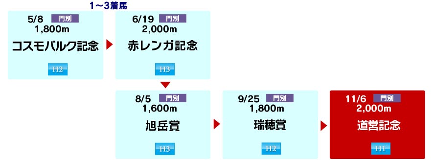 体系図 ~ホッカイドウ競馬3歳以上~