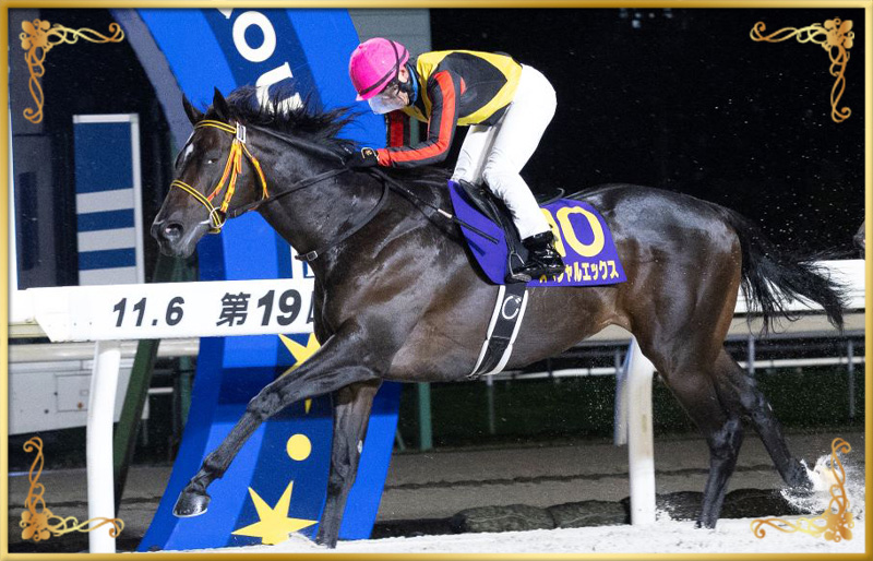 2024年優勝馬 スペシャルエックス号