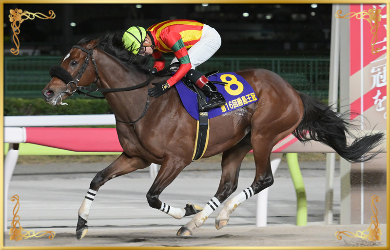 2024年優勝馬 キングストンボーイ号