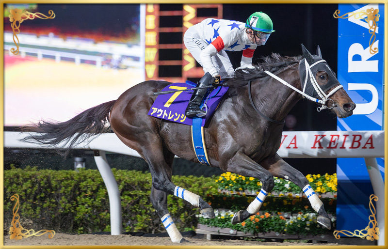 2024年優勝馬 アウトレンジ号