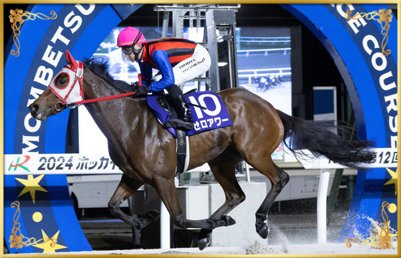 2024年優勝馬 ゼロアワー号