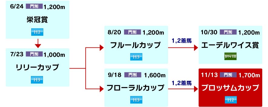 体系図 ~ホッカイドウ競馬2歳牝馬~