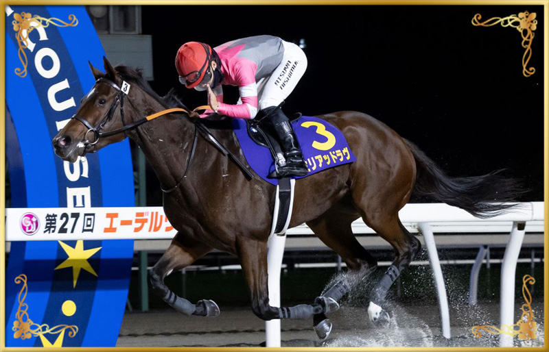 2024年優勝馬 ミリアッドラヴ号