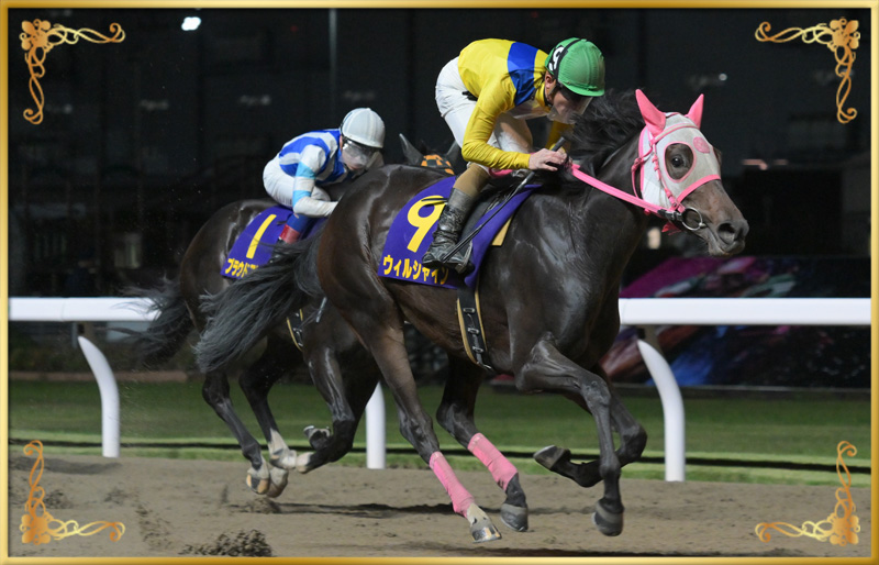 2024年優勝馬 ウィルシャイン号