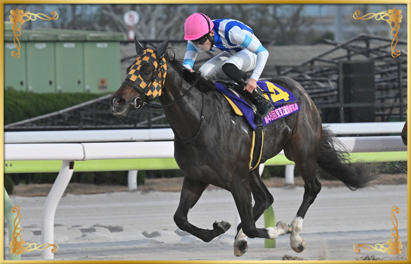 2024年優勝馬　プラウドフレール号